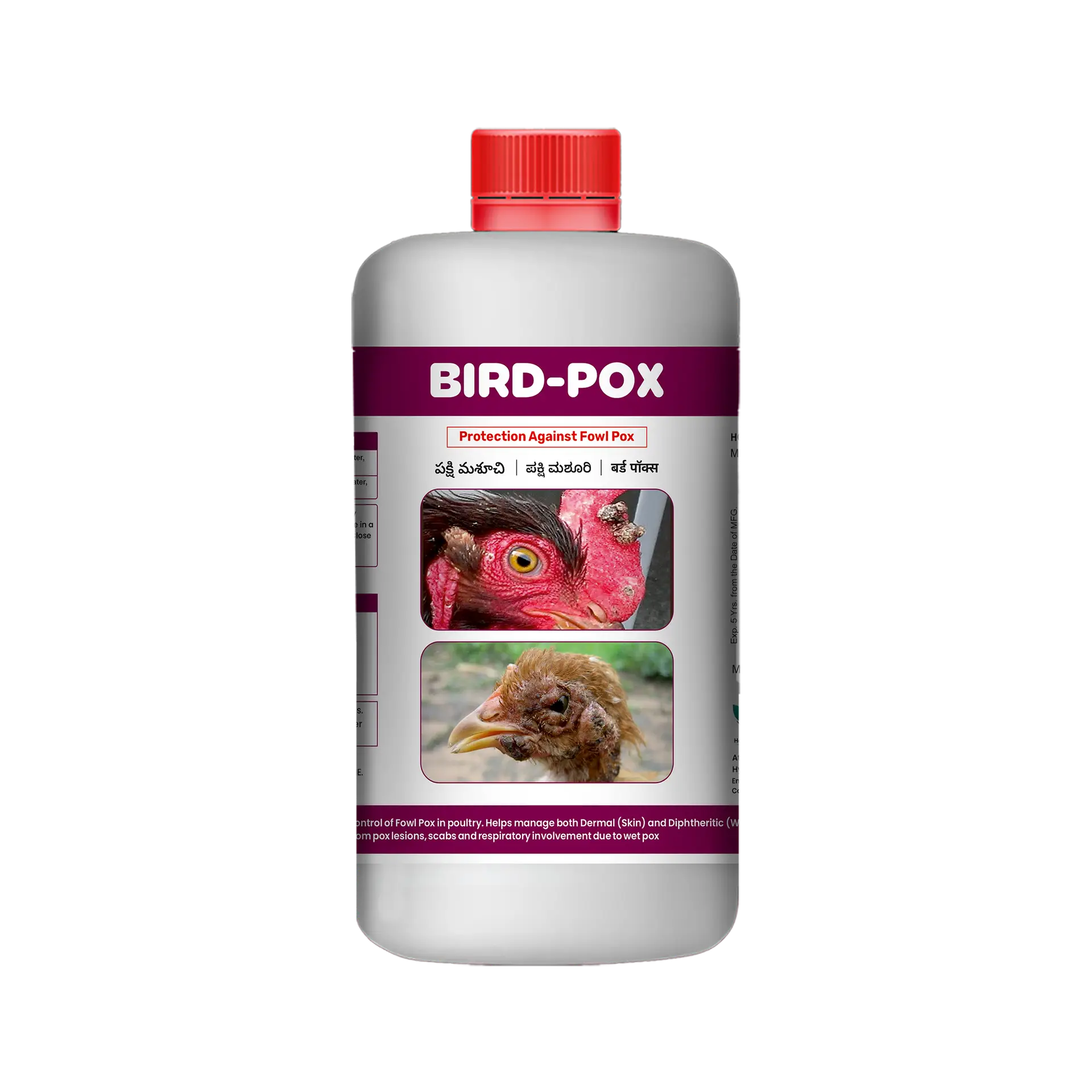 bird pox