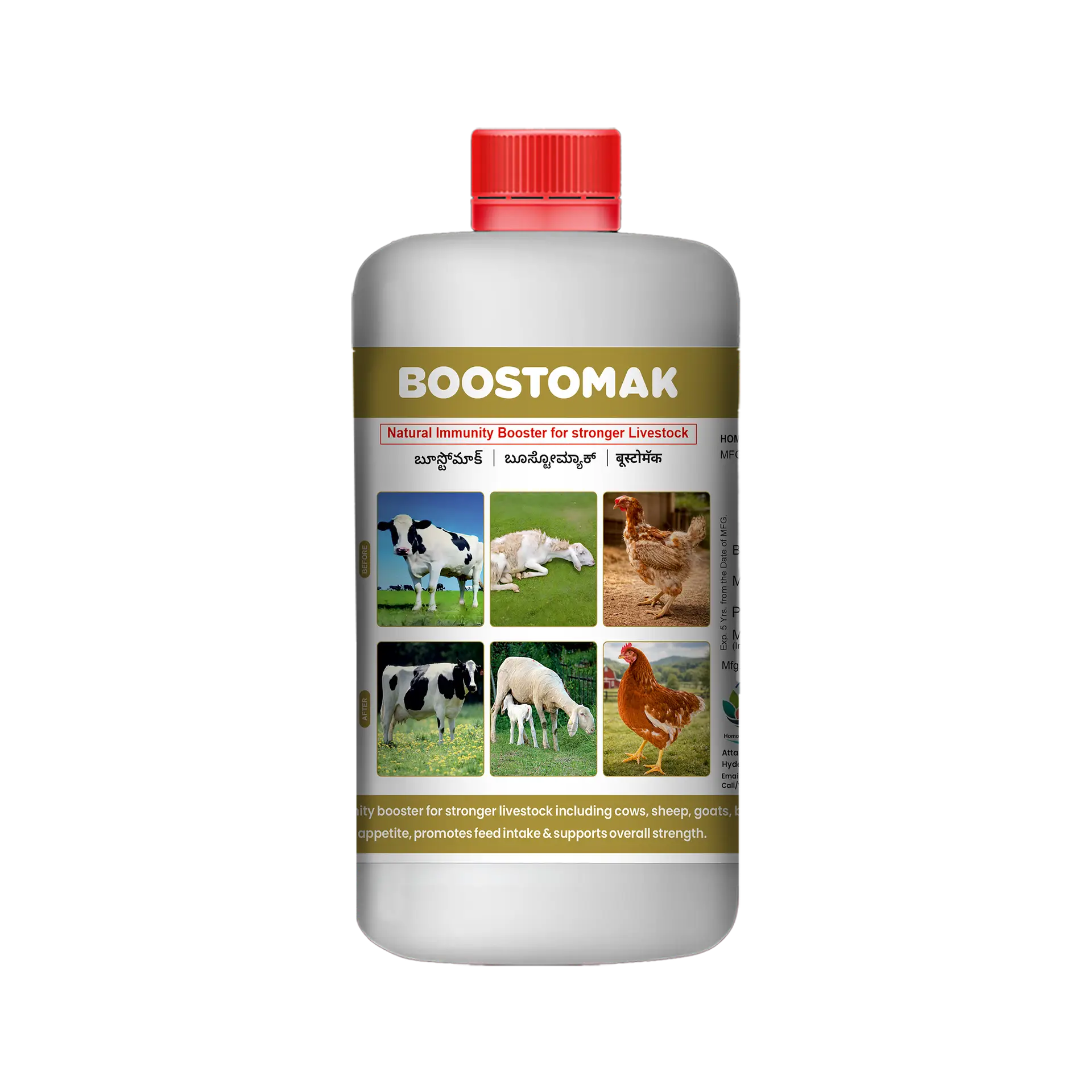 boostomak