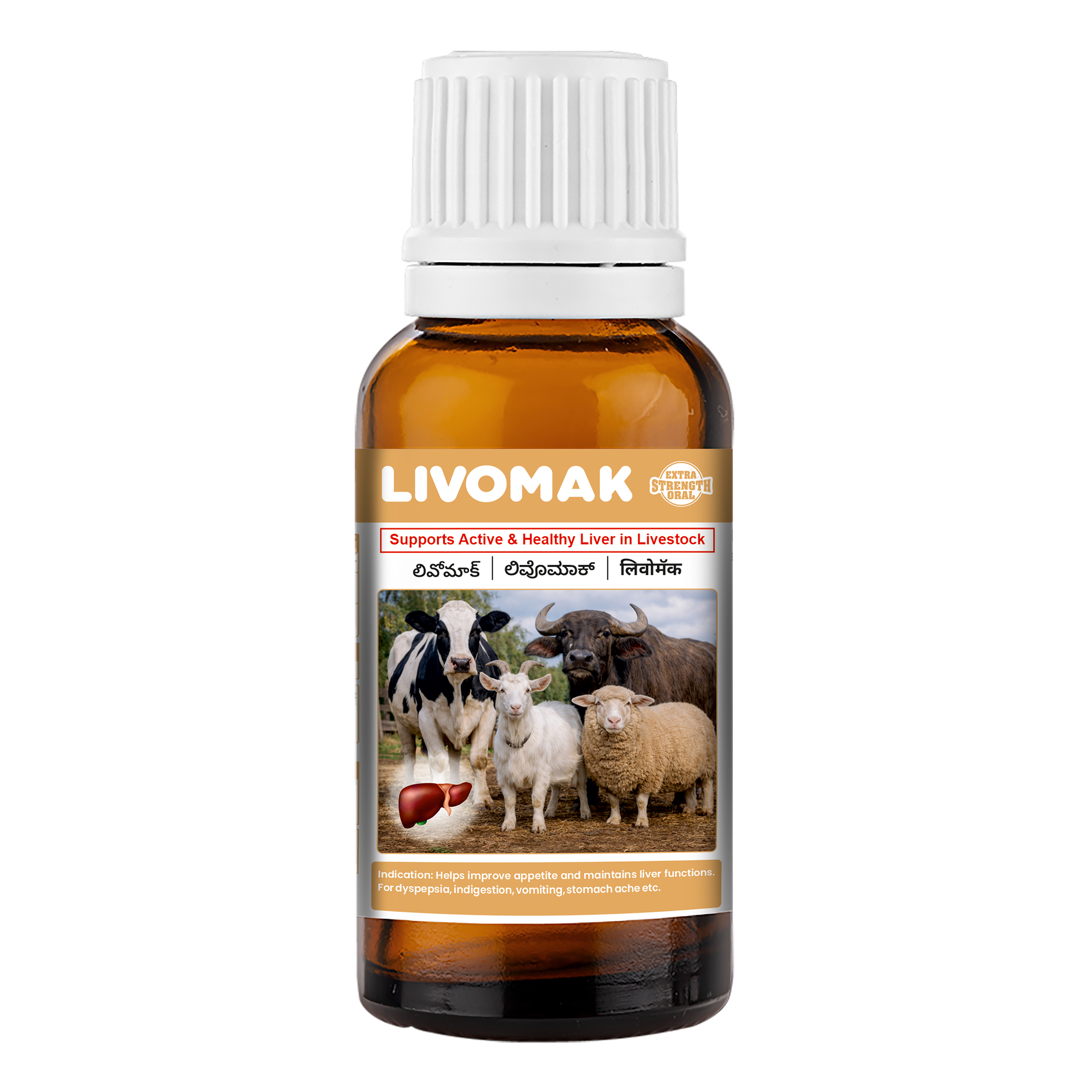 livomak xso