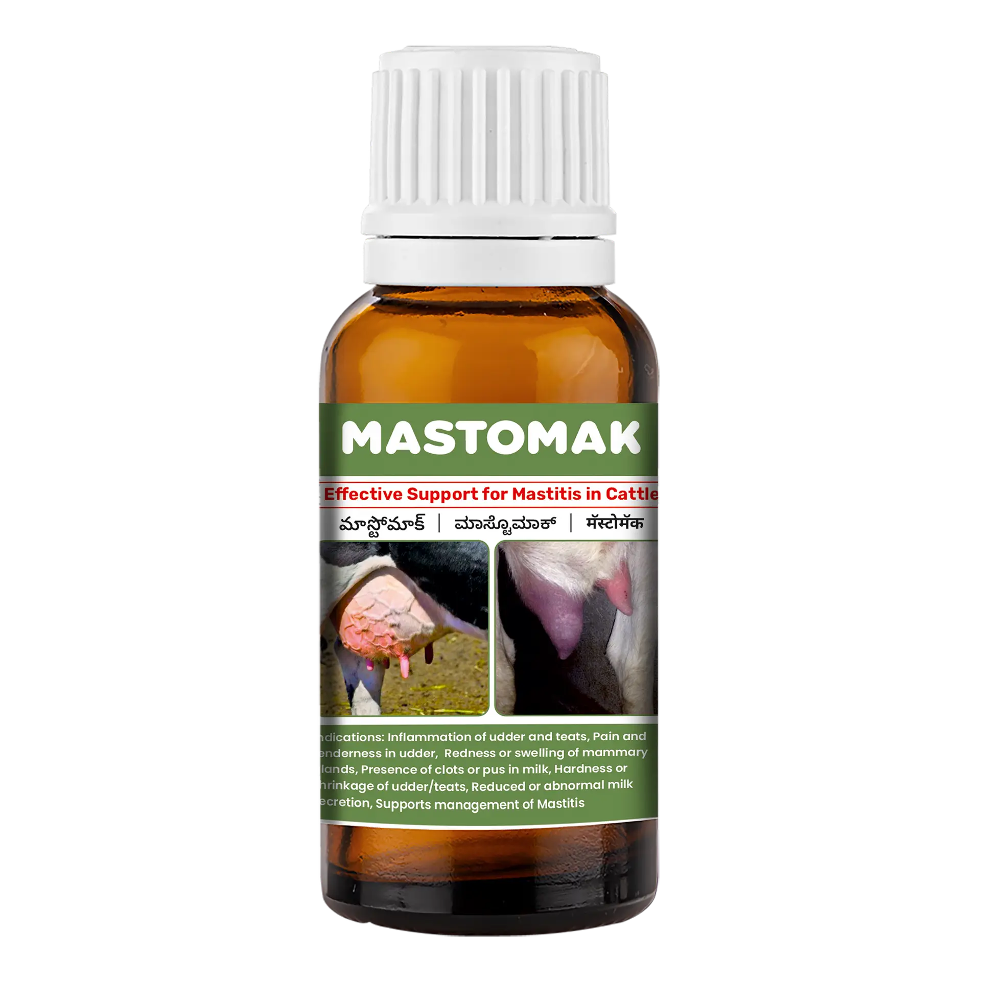 mastomak