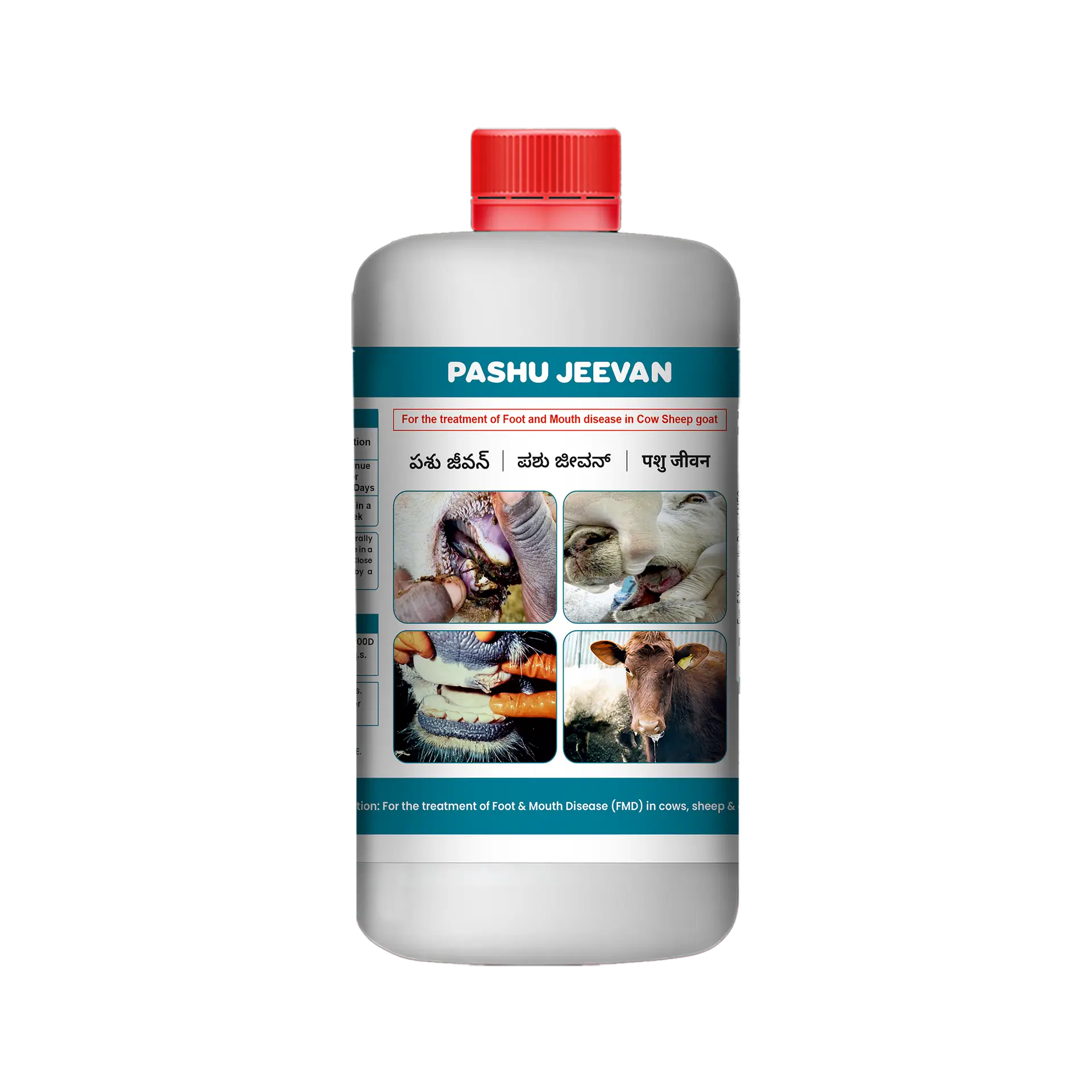pashu jeevan
